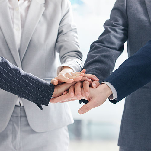 Sed mollis elementum lectus rhoncus mollis elementum lectus rhoncus mollis elementum lectus rhoncus 